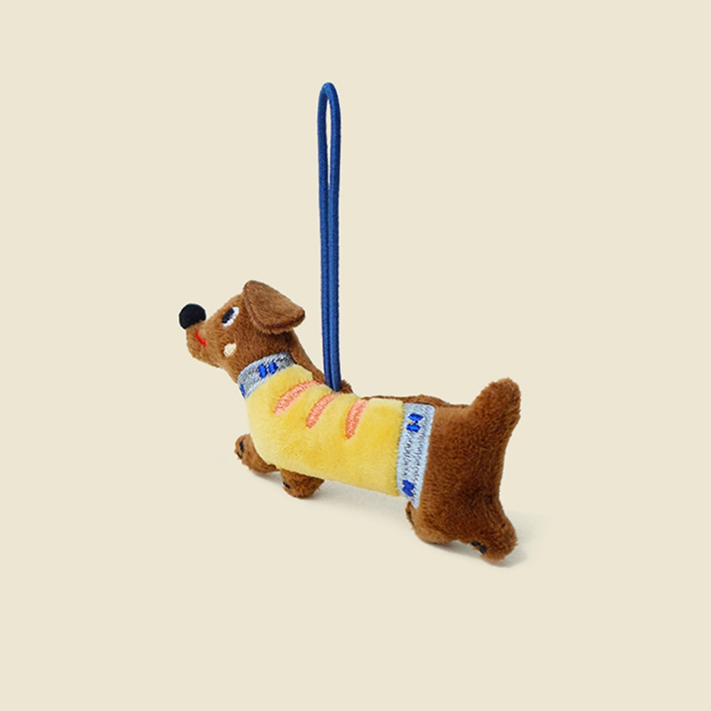 Patchy Sausage Pup